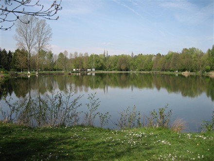 Heideweiher