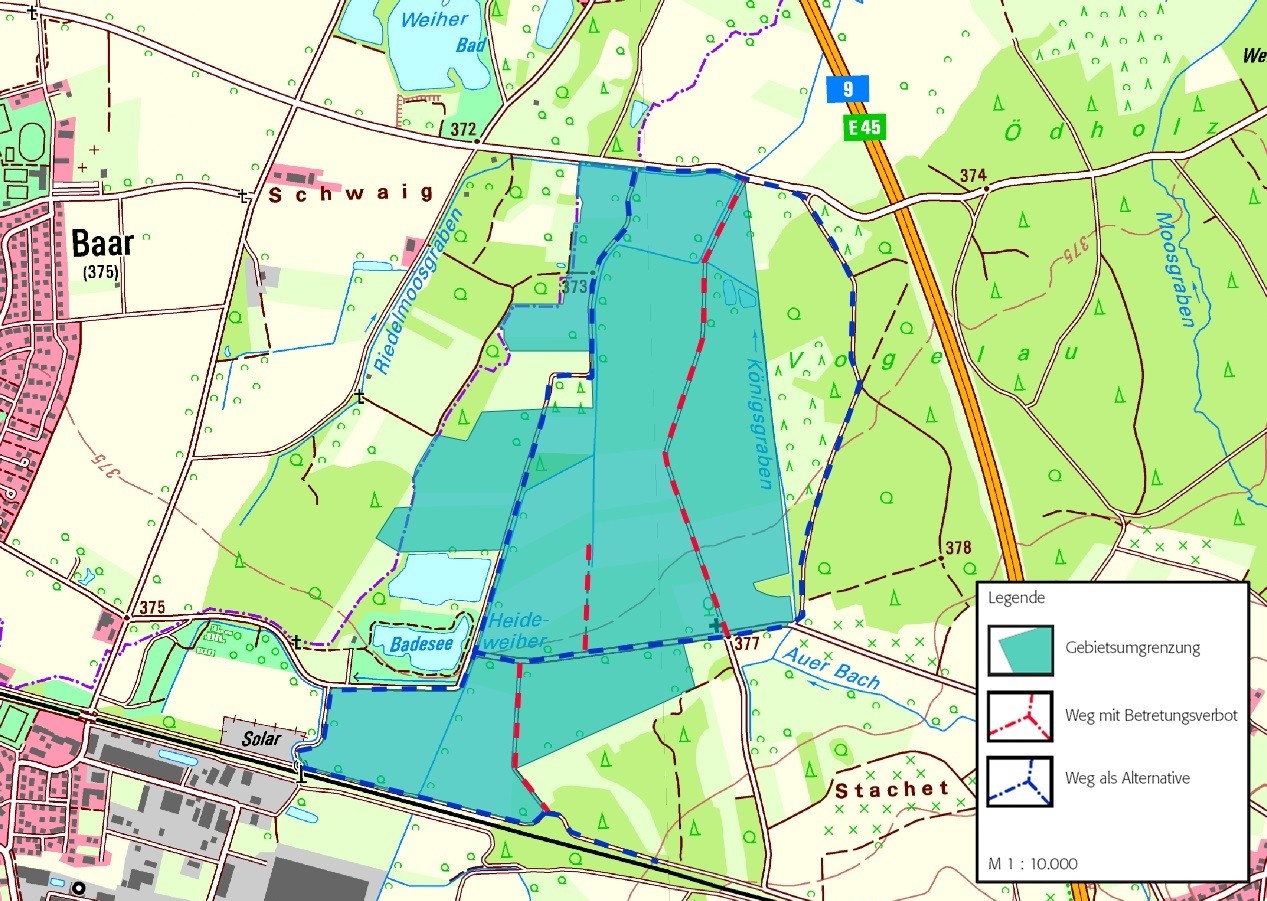 Wiesenbrüter Heideweiher